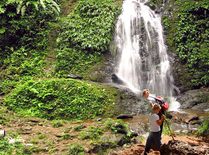 Brownsberg Nature Park, Suriname